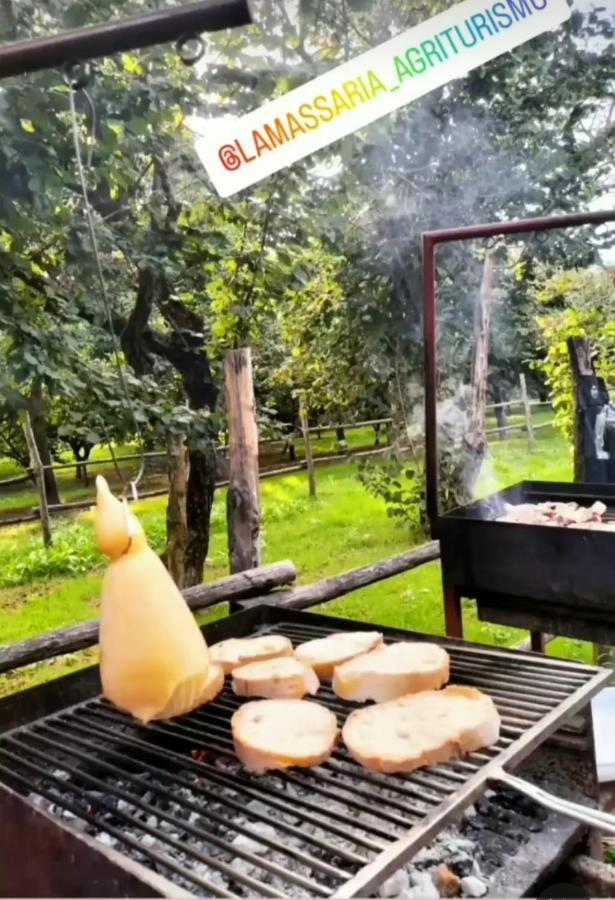 La Massaria Bed and Breakfast Avellino Eksteriør billede